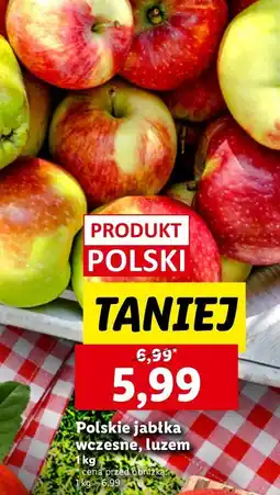 Lidl Jabłka wczesne polskie Lidl oferta
