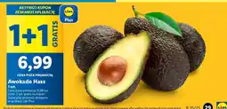 Lidl Awokado Hass Lidl oferta