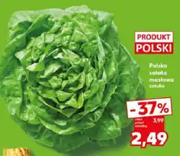 Kaufland Sałata masłowa 1 szt. Kaufland oferta
