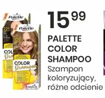 Sekret Urody PALETTE COLOR SHAMPOO oferta