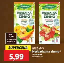 Lidl HERBAPOL Herbatka na zimno oferta