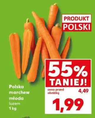 Kaufland Polska marchew młoda luzem 1 kg oferta
