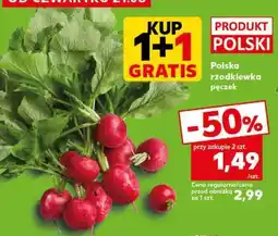Kaufland Polska rzodkiewka pęczek oferta
