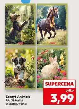 Kaufland Zeszyt Animals oferta