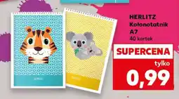 Kaufland HERLITZ Kołonotatnik A7 oferta