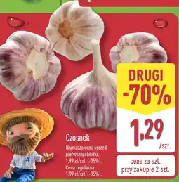 ALDI Czosnek 1 szt. Aldi oferta