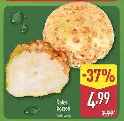 ALDI Seler korzeń 1 kg Aldi oferta