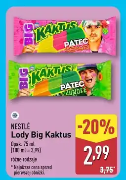 ALDI Lody Nestle Big Kaktus różne rodzaje oferta
