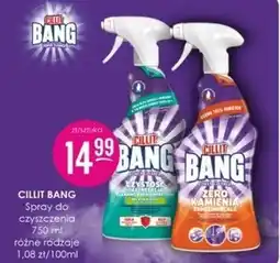 Jaśmin Spray do czyszczenia Cillit Bang oferta
