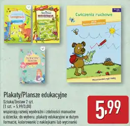 ALDI Plakaty/Plansze edukacyjne oferta