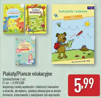 ALDI Plakaty/Plansze edukacyjne oferta