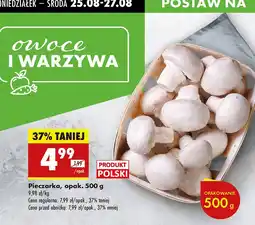 Biedronka Pieczarka Biedronka oferta