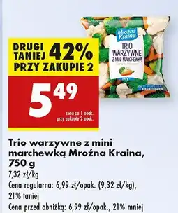 Biedronka Trio warzywne z mini marchewką Mroźna Kraina oferta