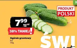 Netto Ogórek gruntowy oferta