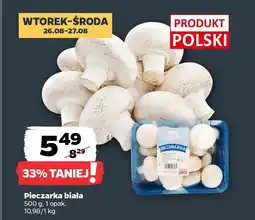 Netto Pieczarka biała oferta