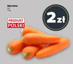 Netto Marchew oferta