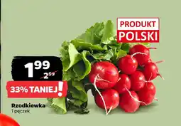 Netto Rzodkiewka oferta