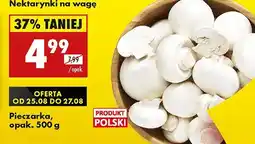 Biedronka Pieczarki 1 opak. Biedronka oferta