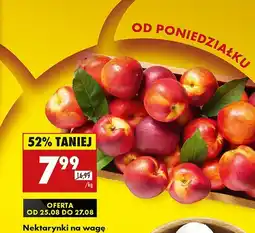 Biedronka Nektarynki 1 kg Biedronka oferta
