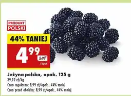 Biedronka Jeżyna polska 1 opak. Biedronka oferta