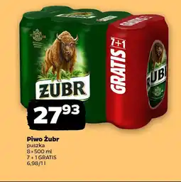 Netto Piwo Żubr oferta