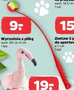 Netto Wyrzutnia z piłką oferta