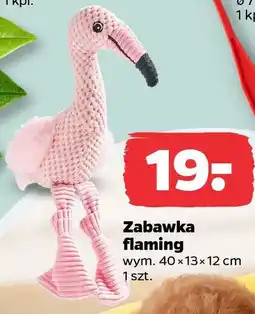Netto Zabawka flaming oferta