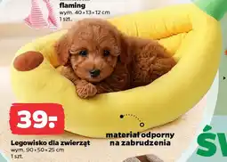 Netto Legowisko dla zwierząt oferta