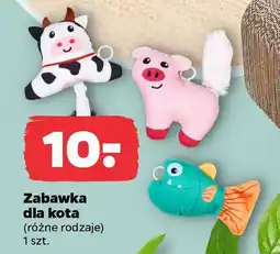 Netto Zabawka dla kota oferta