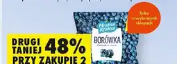 Biedronka Borówka mrożona Mroźna Kraina oferta