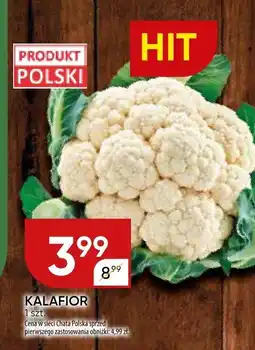 Chata Polska Kalafior Chata Polska oferta