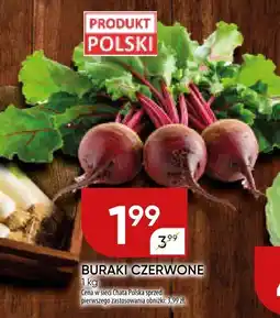 Chata Polska Buraki czerwone Chata Polska oferta