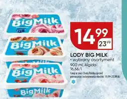 Chata Polska Lody Big Milk wybrany asortyment Algida oferta