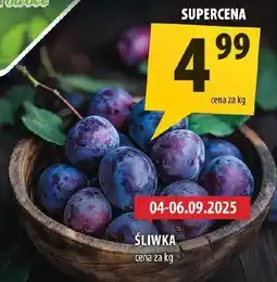 Arhelan Śliwka Arhelan oferta