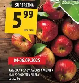 Arhelan Jabłka Arhelan oferta