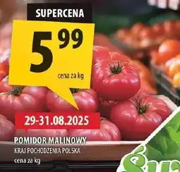 Arhelan Pomidor malinowy Arhelan oferta