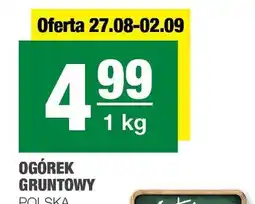 Spar Ogórek gruntowy SPAR oferta