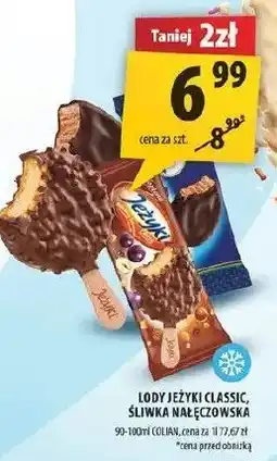 Arhelan Lody Jeżyki Classic, Śliwka nałęczowska oferta