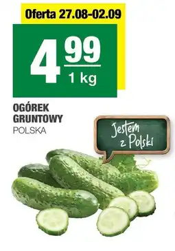 Spar Ogórek gruntowy Polska oferta