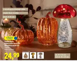Lidl Livarno home Dekoracyjna dynia LED lub szklany grzyb LED oferta