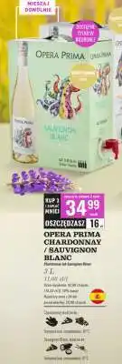 Biedronka OPERA PRIMA CHARDONNAY / SAUVIGNON BLANC oferta