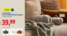 Lidl Livarno home Zestaw 2 poduszek dekoracyjnych oferta