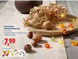 Lidl LIVARNO home Łańcuch świetlny LED oferta