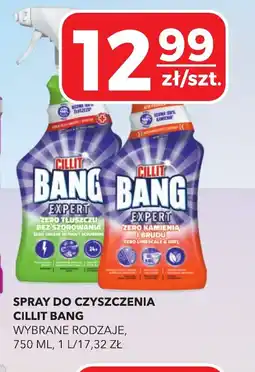 Top Market Spray do czyszczenia Cillit Bang oferta