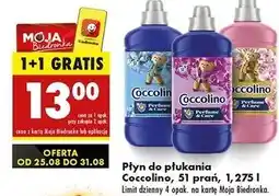 Biedronka Płyn do płukania passion flower & bergamot Coccolino Perfume Care oferta