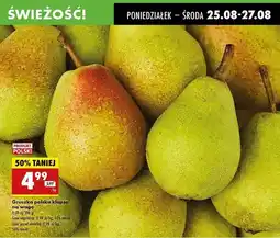Biedronka Gruszka klapsa oferta