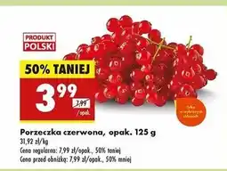 Biedronka Czerwona porzeczka oferta
