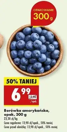 Biedronka Borówki amerykańskie oferta