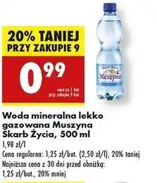 Biedronka Woda lekko gazowana Muszyna Skarb Życia oferta