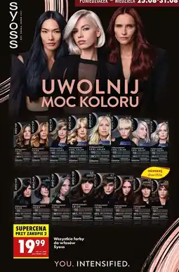 Biedronka Farba do włosów 1.1 Syoss Professional Performance oferta